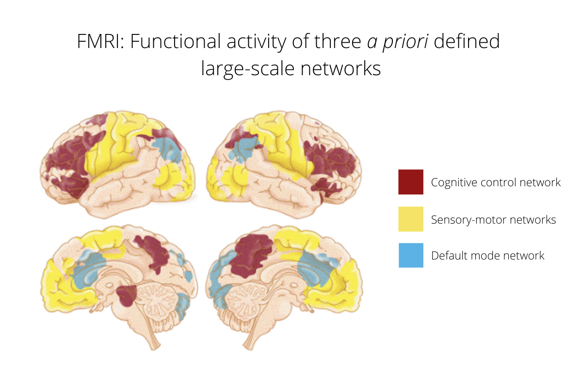 Cognitive control network